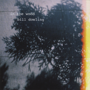 Presidential Satisfaction Blues