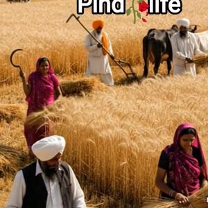 ਪਿੰਡ ਦੀ ਪਰਛਾਈ Pind di parchai