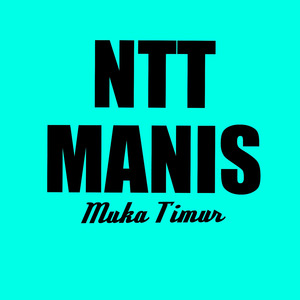 Ntt Manis (Remix)