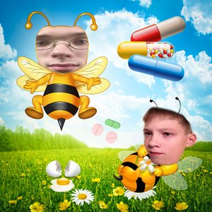 Bees