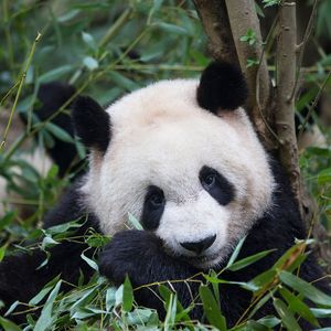 有你的瞬间定格成永远