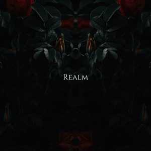 Realm