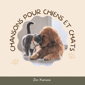 De la musique pour divertir votre chat