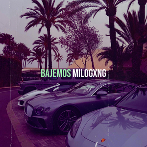 Bajemos