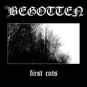 Memories Carved In Oak