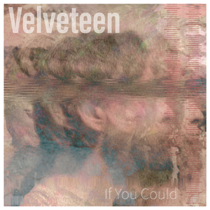 If You Could