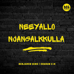 Neeyallo Njangalkkulla