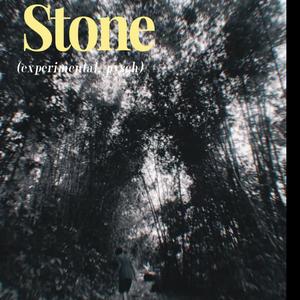 TRIPPING ON STONE