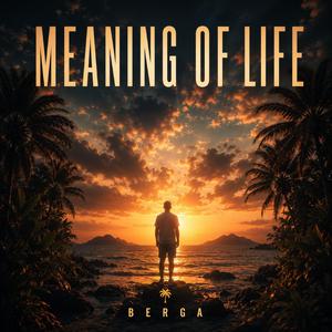 Meaning Of Life