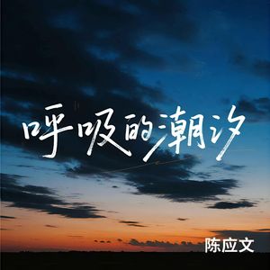 呼吸的潮汐