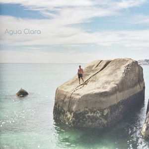 Te Vas y Venís