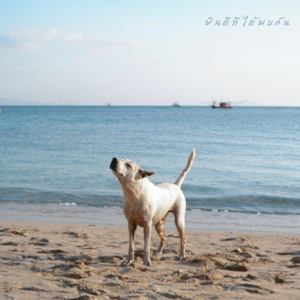 ยินดีที่ได้พบกัน