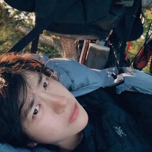 树会拥抱每个抬头的人