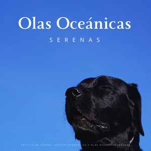 Resonancia De Perros Binaurales