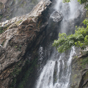 เพลงรักของคนที่ไม่มีความรัก