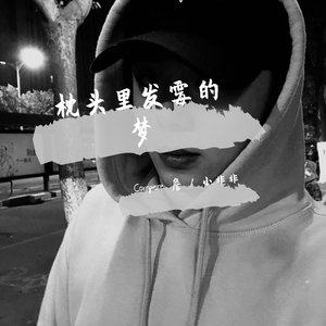 枕头里发霉的梦(Prod.by Nino)