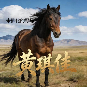 未驯化的野马 (DJ涵涵版)