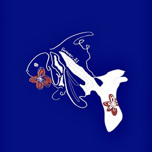 就算我放弃了世界