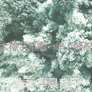 温和早晨梦想