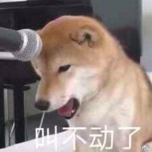 今をかける少女/活在当下的少女