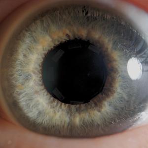 Expectativa frente a la realidad