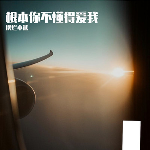 根本你不懂得爱我 伴奏