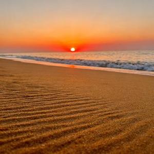 稳稳的幸福 (Cover 郁可唯)