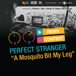 A Mosquito Bit My Leg (Avishay Lahav Remix)