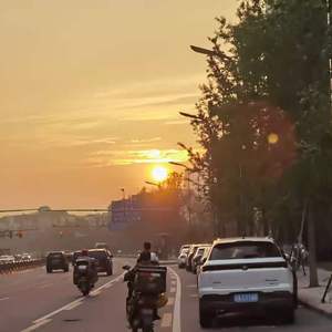 未妨惆怅是清狂 （翻自 太一）