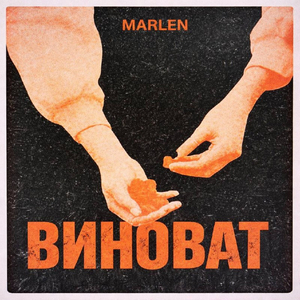 Виноват