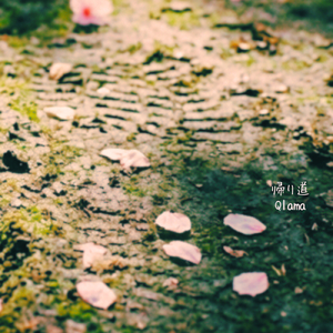 帰り道 (blossom remix)