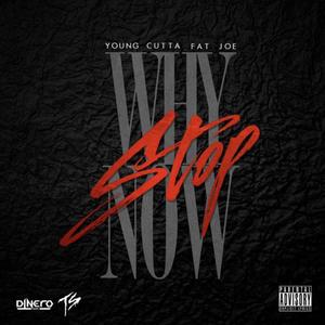 Why Stop Now (feat. Fat Joe)