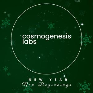 New Year, New Beginnings