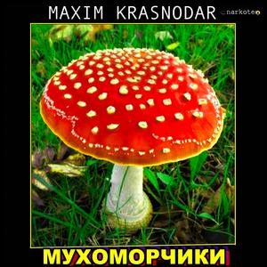Мухоморчики