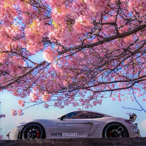 谢谢你给我答案