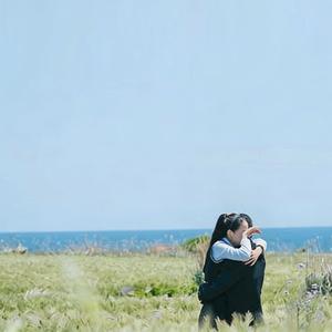晚风与痛