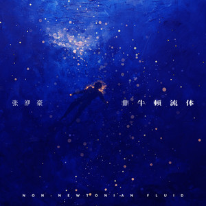 非牛顿流体