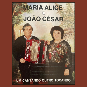 Não Matem os Passarinhos