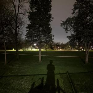 catch the shadow but who catch?