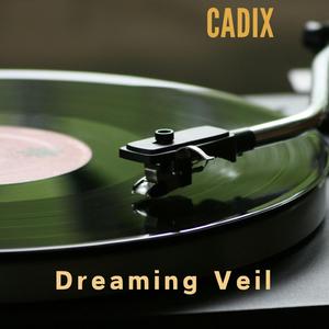 Dreaming Veil