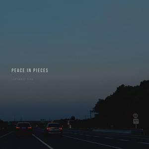 Peace in Pieces
