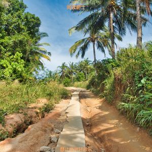 适合放松美丽的音乐