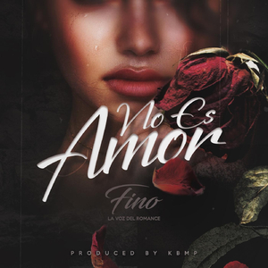 No Es Amor