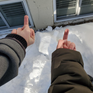 Sunshine Walk, Birds Talks