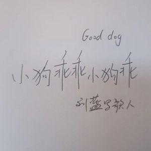 小狗乖乖小狗乖 伴奏