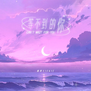 等不到的你