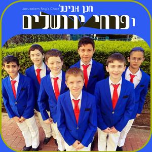היידה ביבי - דיינו