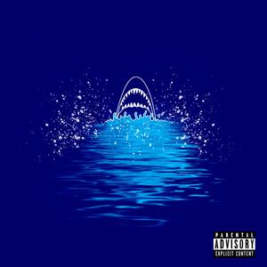 Swimming With Sharks