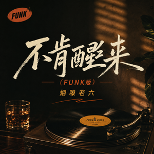不肯醒来(funk版)