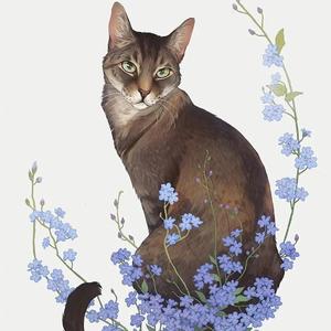 我所有的夜有所梦里